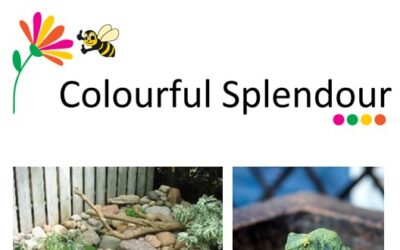 Thank you Colourful Splendour