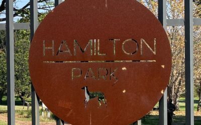 Local residents sponsor a paved pathway in Hamilton Park