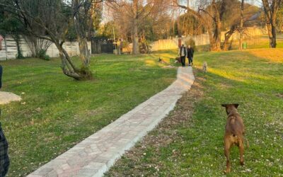 Calling on the Community: Join Us in Making Hamilton Park’s Pathways a Reality