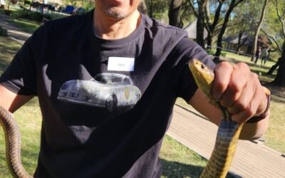 Snakes Seek Warmth in Cold Weather: A Closer Look and How to Respond