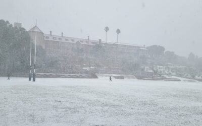 Rare Snowfall Delights Johannesburg Residents in Craighall Park