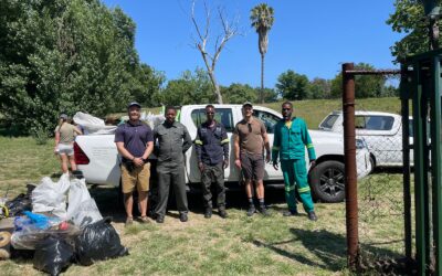 Bird Sanctuary Clean-up