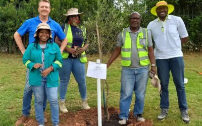 Profica’s green pledge: A tree for every project in the ground