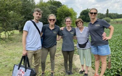 Fighting the Water Hyacinth with bugs: Harnessing Nature’s Allies