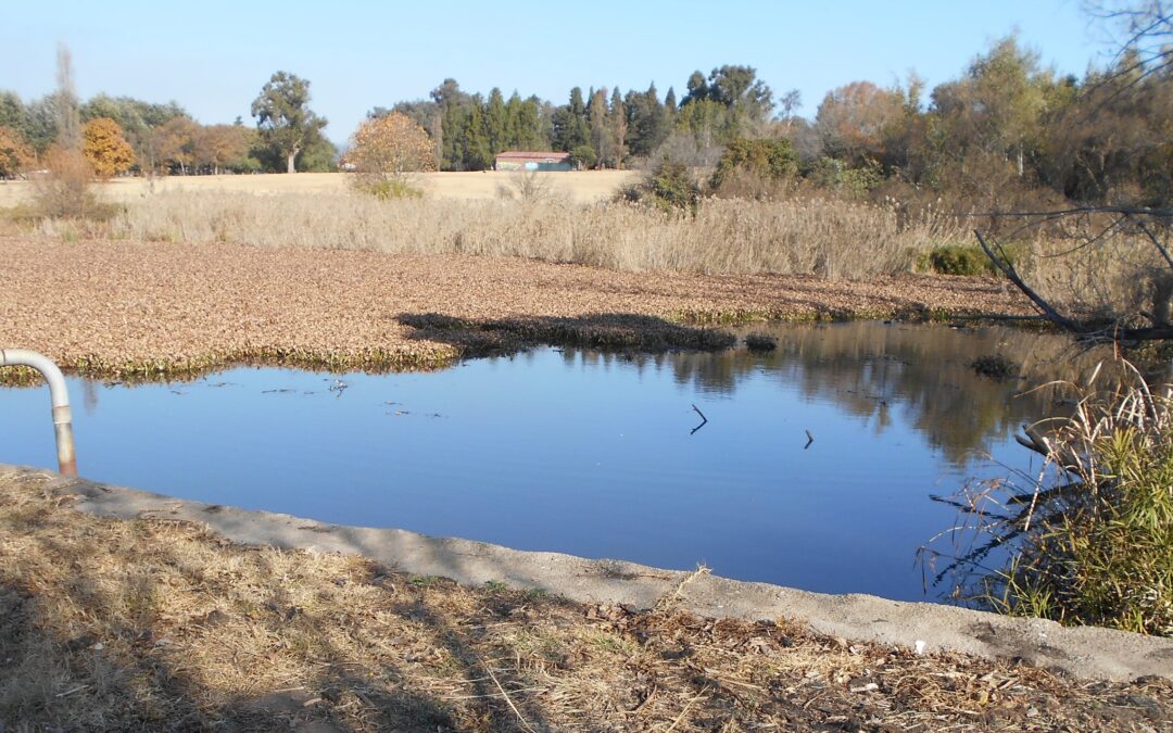 Help Restore Delta Park’s Florence Bloom Dam
