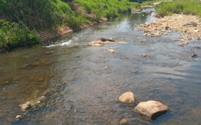 A Cleaner Braamfontein Spruit, Thanks to You