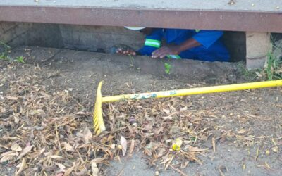 CRA and Bubele Africa Stormwater Drain Cleanup