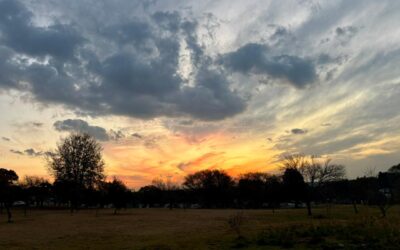 February 2026 Newsletter – Monthly Update