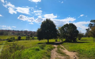 April 2026 Newsletter